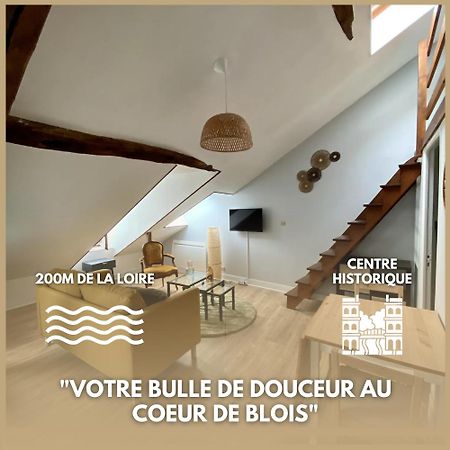 Le Cocon - Appartement En Hyper Centre Блуа Екстер'єр фото