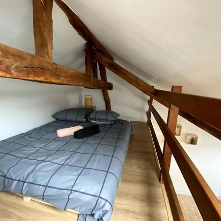 Le Cocon - Appartement En Hyper Centre Блуа Екстер'єр фото